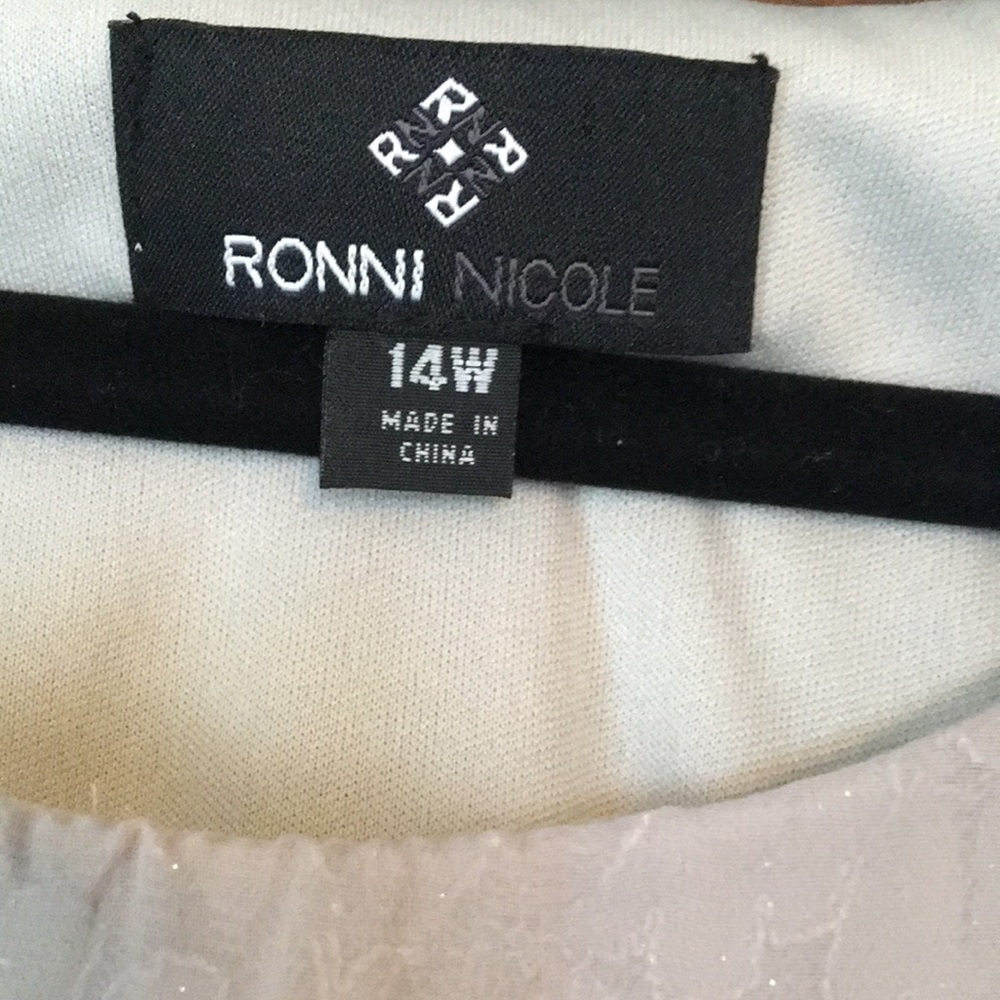 Ronnie Nicole mother of the bride dress - Picture 5 of 12